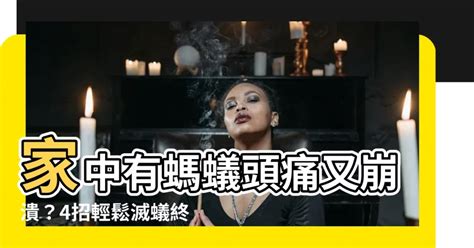 家中有蟻|螞蟻怎麼消滅？達人親身實證「滅蟻4招」：原來家裡。